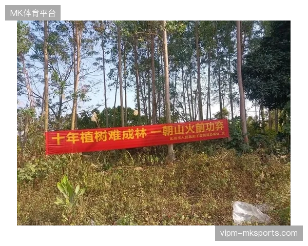 赛事版权保护投入翻倍后为何仍难遏制直播流非法盗采
